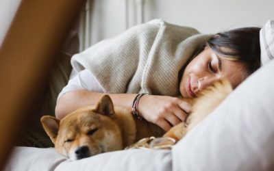 Want to Improve Your Immune System? Take naps.