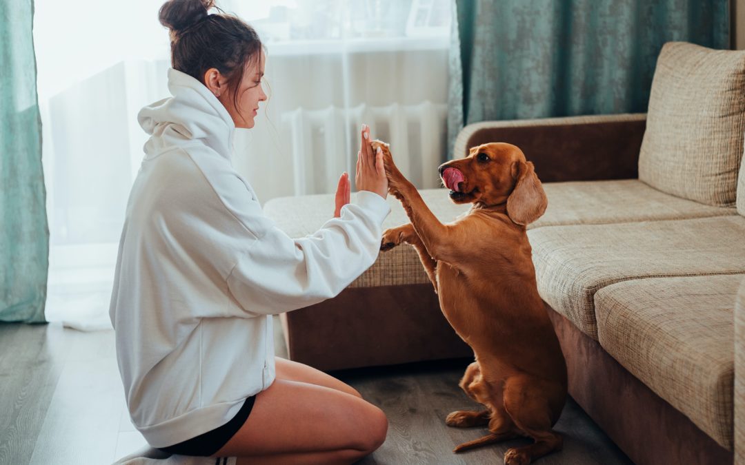 5 Ways Our Pets Keep Us Happy and Healthy