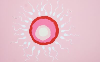 How Does the Immune System Affect Fertility?