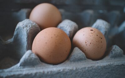 Are Eggs Good or Bad For You?