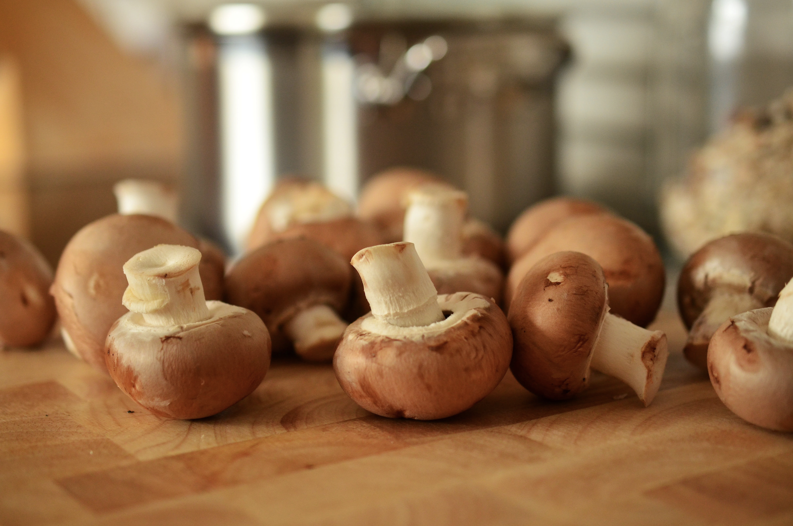 Mushrooms amazing health benefits for the immune system