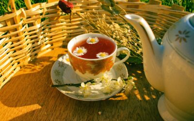 8 Best Teas for Health
