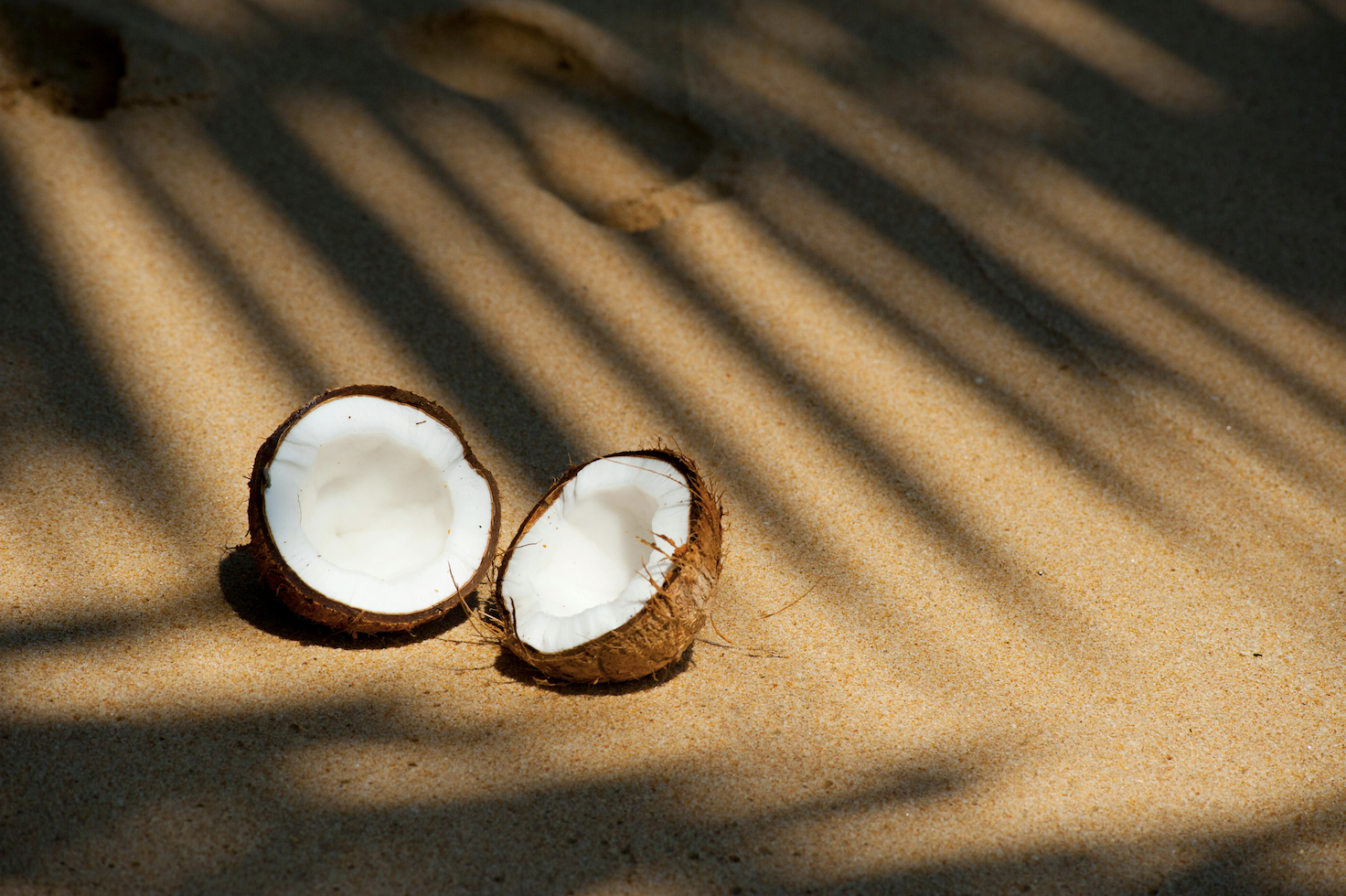 Coconut milk -- is it ti fatty to be healthy?